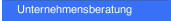 Unternehmensberatung